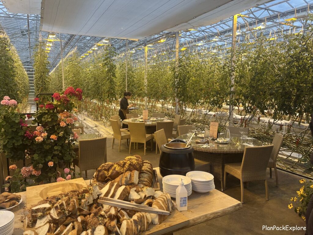 Table set inside a greenhouse at Fridheimar Tomato Farm in Iceland.