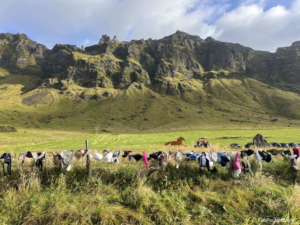 Multiple bras hanging from a fence with a moss-covered mountain in the background in Iceland.