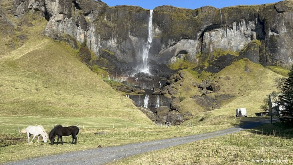 A tall narrow waterfall pushed aside by strong winds with two horses on the grass in front of it in Iceland.