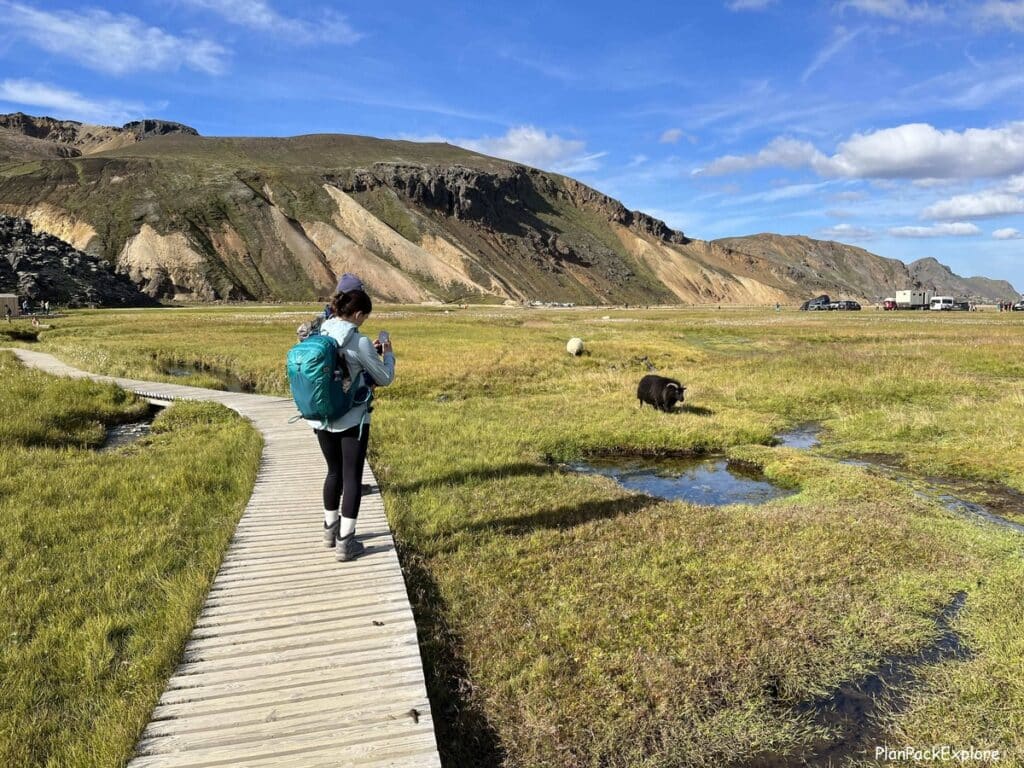 Wooden decks leading to Landmannalaugar hot springs, called People's Pool.