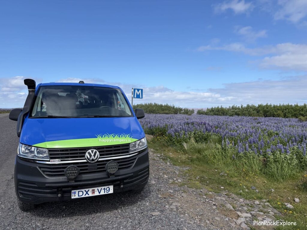 A blue campervan near a field of lupine in Iceland.