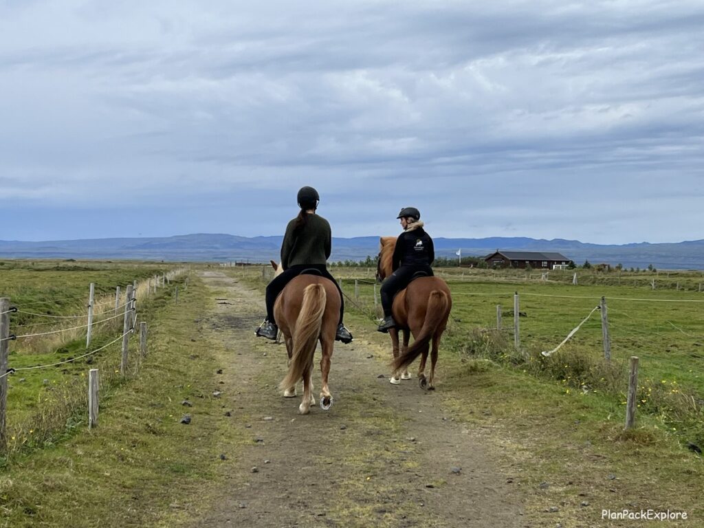 Two people riding Icelandic horses.