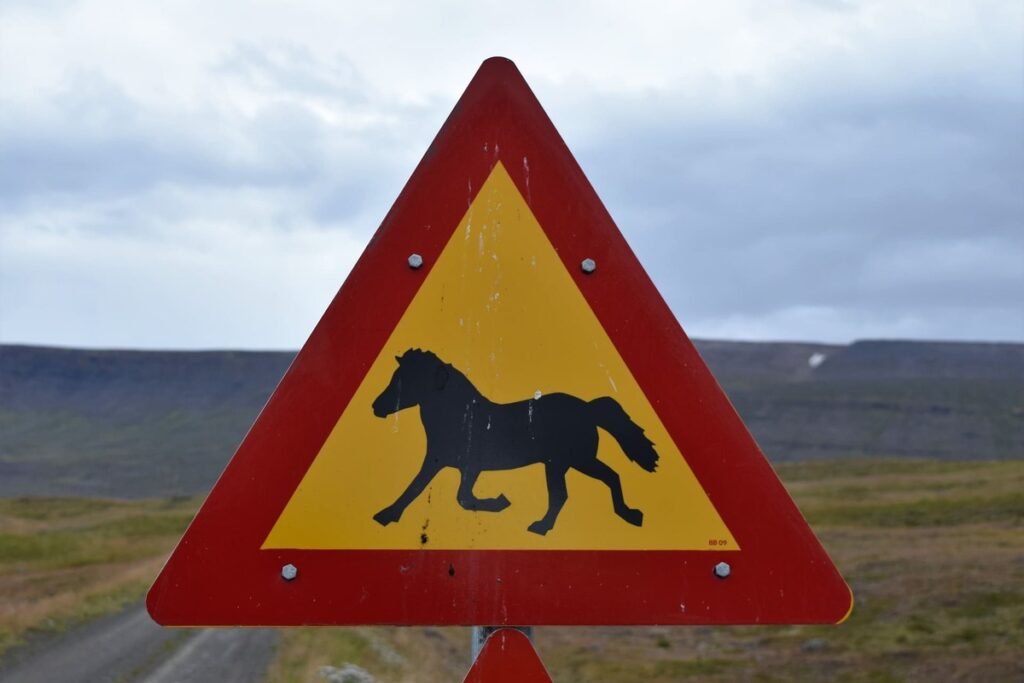 horse warning sign in Iceland