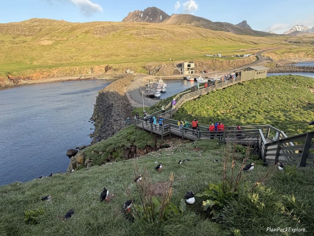 Wooden walkways along the grassy cliffs for observing puffins at Borgarfjordur Eystri in Iceland.