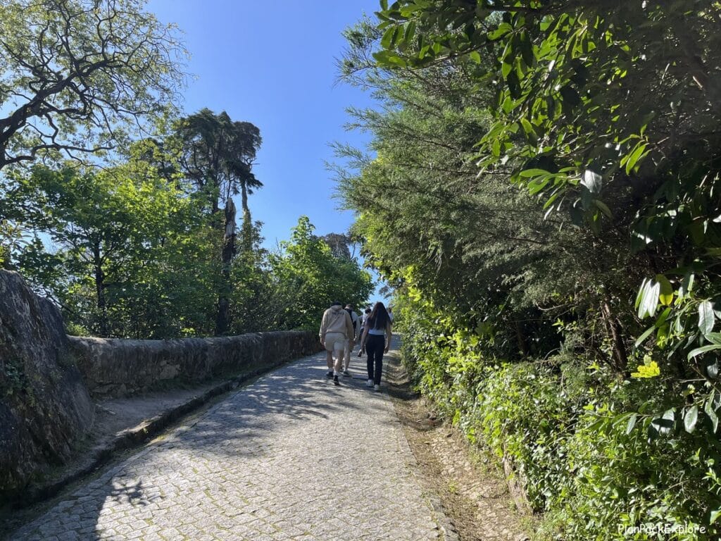A cobblestoned path in a park in Sintra, Portugal.
