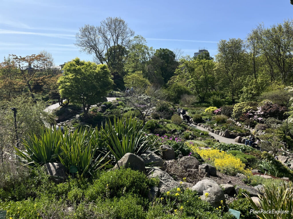 A walking path in botanical gardens in copenhagen.