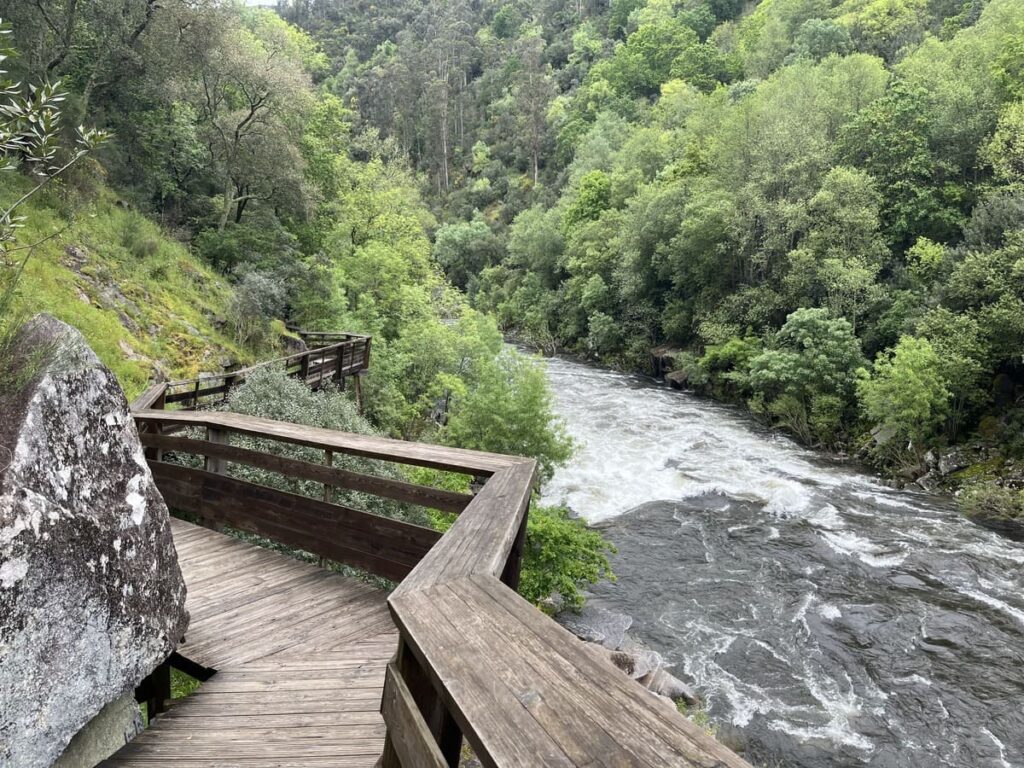 Wooden boardwalk by the river on Paiva Walkways trail, Portugal.