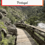 A winding wooden walkway through green vegetation alongside a river, part of the Paiva Walkways in Portugal, is featured in a hiking guide image.