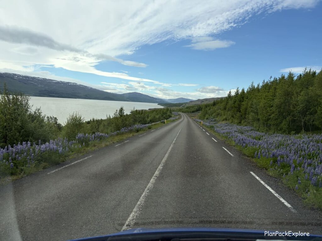 A paved road near a lake leading to Hengifoss waterfall in Iceland.