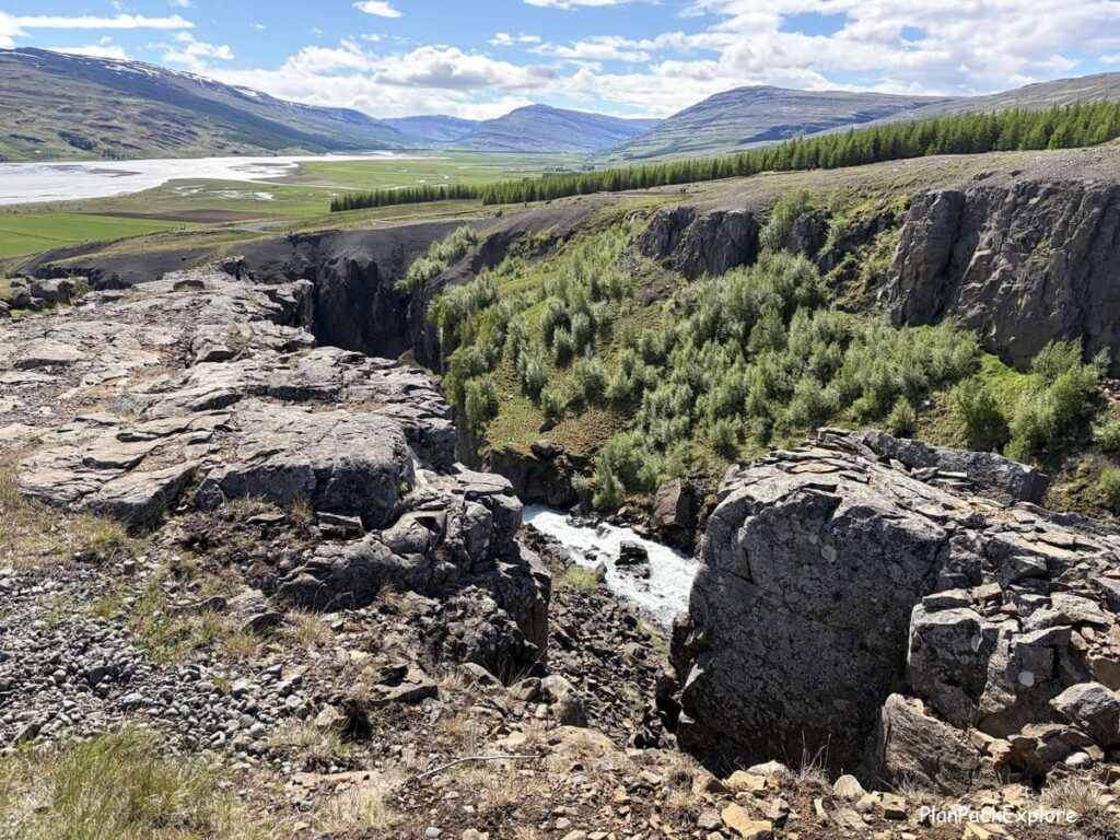 A view of a river and trees along the cliffs on the trail to Hengifoss waterfall in Iceland.