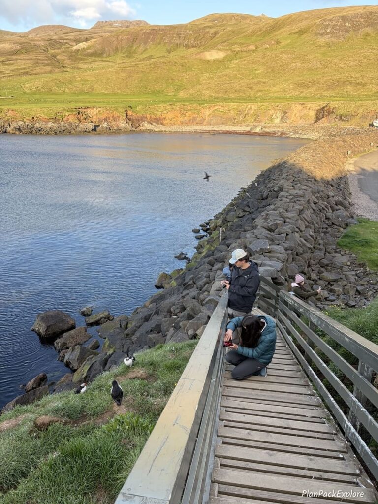Two people on a wooden boardwalk photographing puffins at Borgarfjordur Eystri in Iceland.