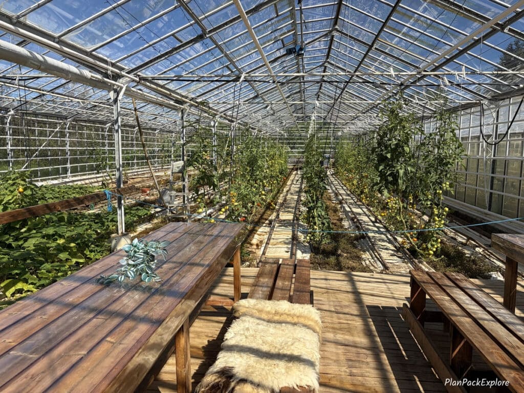 The inside of a large greenhouse on the Silver Circle in Iceland.